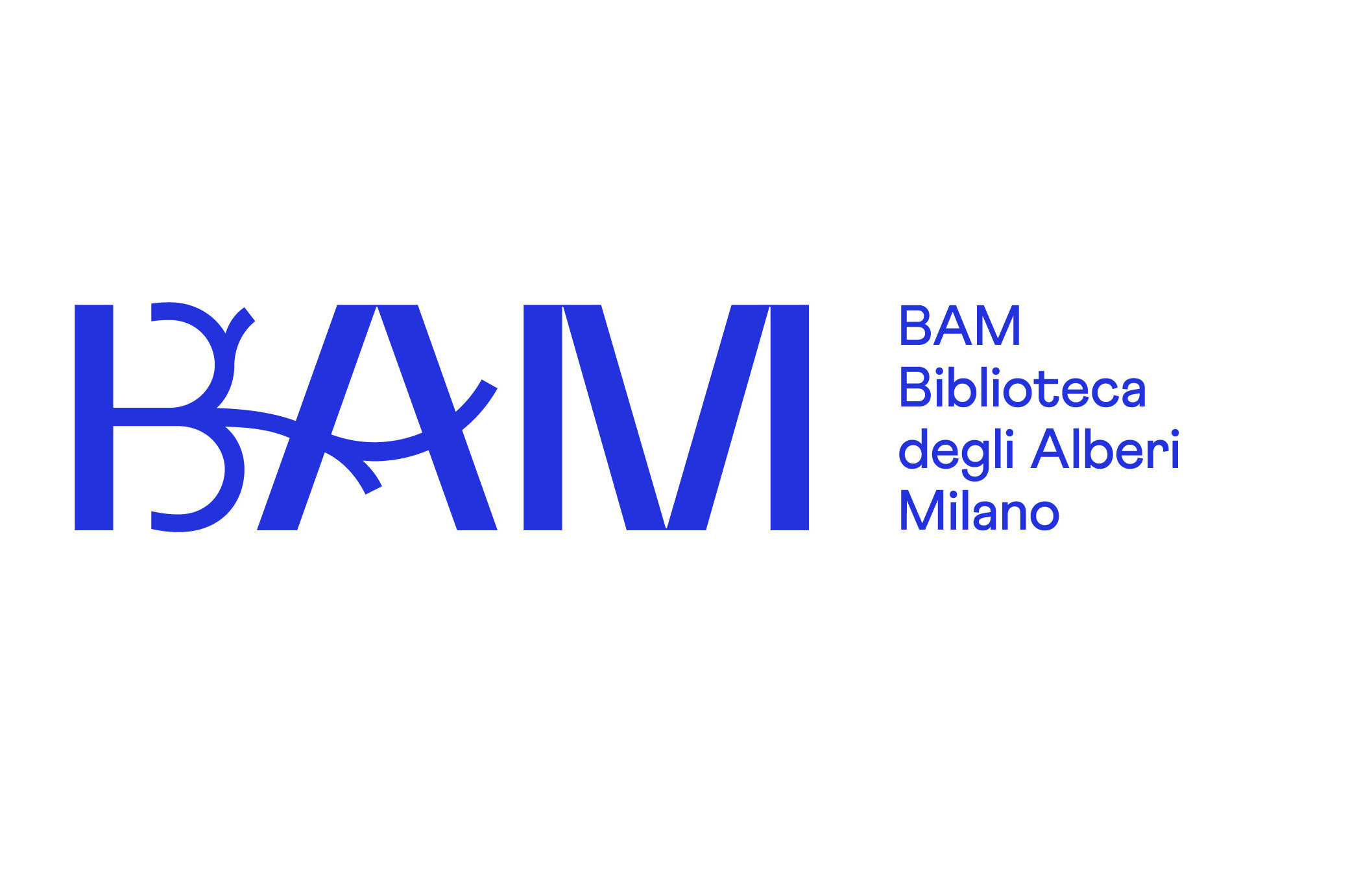 Bam L Avvio Di Una Nuova Voce Civica E Culturale Fondazione Riccardo